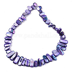 Natural Freshwater Shell Beads Strands&nbsp;X-SHEL-N026-123H