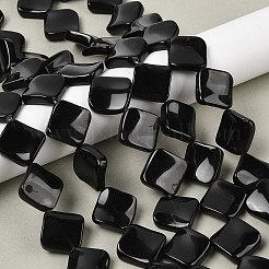 Natural Black Stone Beads Strands&nbsp;G-L239-18