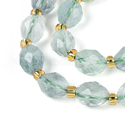 Natural Green Fluorite Beads Strands&nbsp;G-N342-53-8x6-12