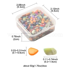 染色天然淡水貝チップビーズ 50g  穴なし/ドリルなし  ミックスカラー  3~19x1~8mm&nbsp;BSHE-YW0001-04