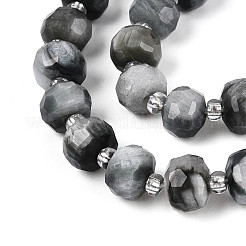 Natural Eagle Eye Stone Beads Strands&nbsp;G-N327-08A-02