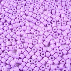 Opaque Baking Paint Glass Seed Beads&nbsp;SEED-T008-02T