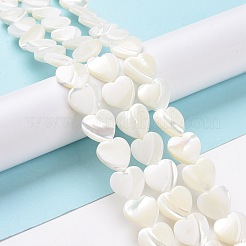 Natural Trochus Shell Beads Strands&nbsp;SSHEL-H070-06D