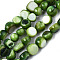 Natural Freshwater Shell Beads Strands, Dyed, Nuggets, Green, 7~9x7~8x2.5~6mm, Hole: 0.8mm, about 48~50pcs/strand, 14.96~15.74 inch (38~40cm)