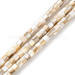 天然淡水シェルビーズ連売り  コラム  貝殻色  3x4mm  穴：0.8mm  約124~125個/連  15.28~15.47''（38.8~39.3センチメートル）