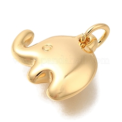 Brass Pendants&nbsp;KK-K388-51G