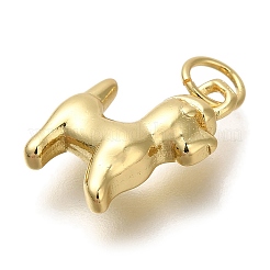 Rack Plating Brass Pendants&nbsp;KK-I720-19G