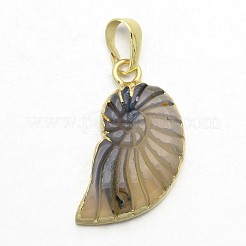 天然な瑪瑙水晶電気めっき巻き貝のペンダント  真鍮パーツ  ミックスカラー  28~30x14~15x4~7mm  穴：5x8mm&nbsp;G-F168-14