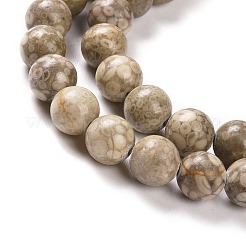 Natural Maifanite/Maifan Stone Beads Strands&nbsp;G-I187-6mm-01