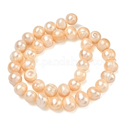 Natural Cultured Freshwater Pearl Beads Strands&nbsp;PEAR-L034-12E