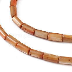 Natural Freshwater Shell Dyed Beads Strands&nbsp;SHEL-M018-11-11