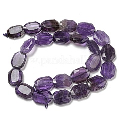 Natural Amethyst Beads Strands&nbsp;G-P544-B06-01