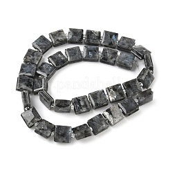 Natural Labradorite Beads Strands&nbsp;G-F802-B03-01