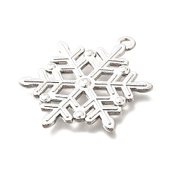 Alloy Pendants&nbsp;TIBE-L008-04P