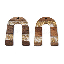 Transparent Resin & Waxed Walnut Wood Pendants&nbsp;RESI-Q211-02A