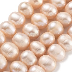 Natural Cultured Freshwater Pearl Beads Strands&nbsp;PEAR-C003-19B