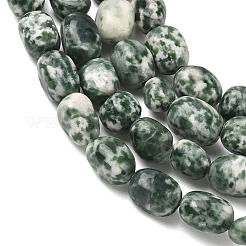 Natural Green Spot Jasper Beads Strands&nbsp;G-C286-A03