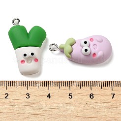 Opaque Resin Imitation Food Pendants&nbsp;CRES-M030-04