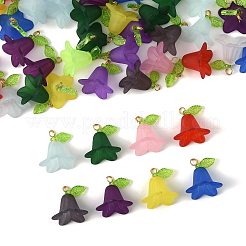 50Pcs Transparent Acrylic Pendants&nbsp;PALLOY-FS00043-05