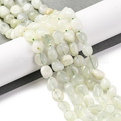 天然新しいヒスイの​​ビーズ連売り  ナゲット  タンブルストーン  7~12x6~8x5~7mm  穴：1mm  約43~44個/連  15.47~15.63''（39.3~39.7センチメートル）&nbsp;X-G-G146-A27-01