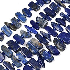 天然石ラピスラズリビーズ連売り  ナゲット  シードビーズで  5~18x3.5~8.5x2.5~6.5mm  穴：0.7~1mm  約46~51個/連  15.35''~16.14''（39~41センチメートル）&nbsp;G-K393-B05