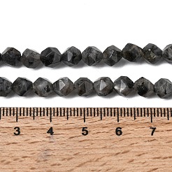 Natural Larvikite Beads Strands&nbsp;G-Z119-A32-01