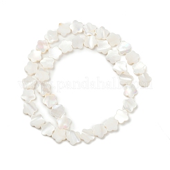 天然淡水シェルビーズ連売り  花  貝殻色  10x10.5x2.5mm  穴：0.8mm  約39~40個/連  14.96''~15.35''（38~39センチメートル）&nbsp;SHEL-K010-01A