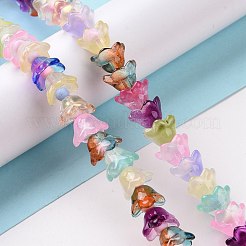 透明ガラスビーズ連売り  ビーズ連売り  花  ミックスカラー  11~12x7.5~8mm  穴：1.4mm  約50個/連  11.42''（29センチメートル）&nbsp;LAMP-H061-01A-02