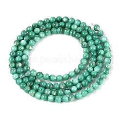 Natural Freshwater Shell Beads Strands&nbsp;X-BSHE-T009A-01J