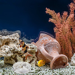 8 個 2 スタイル透明アクリル水族館エビ餌皿  小魚の餌入れ  フラットラウンド  透明  66~86x20mm  4個/スタイル&nbsp;AJEW-GO0001-01