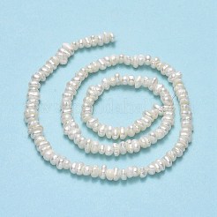 天然養殖淡水パールビーズ連売り  ケシパールビーズ  ナゲット  リネン  2~2.5x3.5~6x3.5~4mm  穴：0.6mm  約138~142個/連  13.78~13.86''（35~35.2センチメートル）&nbsp;PEAR-A005-19-01