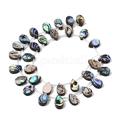 Natural Abalone Shell Paua Shell Beads Strands&nbsp;SH-CBA69D1-02