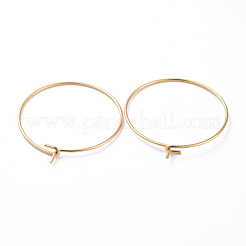 316 Surgical Stainless Steel Hoop Earring Findings&nbsp;STAS-J025-01C-G