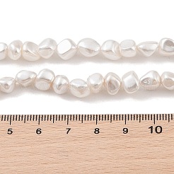 電気めっきシェルパールビーズ連売り  ナゲット  ベージュ  5.5~7.5x7~8.5x5~6.5mm  穴：1mm  約57個/連  16.34インチ（41.5cm）&nbsp;BSHE-C006-02A