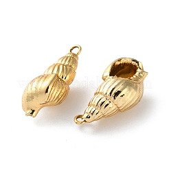 Electroplated Natural Conch Shell Pendants&nbsp;SSHEL-B002-01G-01