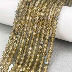 Natural Labradorite Beads Strands&nbsp;G-M438-A01-01