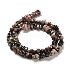 Natural Rhodonite Beads Strands&nbsp;G-Q167-B07-01