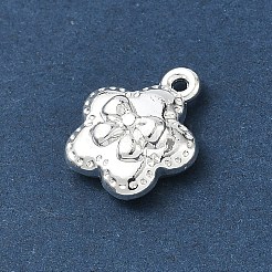 Alloy Charms&nbsp;AL-CBA5B8E-19S