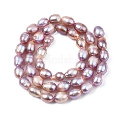 天然養殖淡水パールビーズ連売り  ライス  プラム  7.5~11x6~7.5mm  穴：0.8mm  約37~43個/連  14.06インチ〜14.29インチ（35.7cm〜43cm）&nbsp;X-PEAR-N012-06A