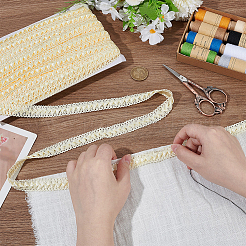 Polyester Lace Trim&nbsp;OCOR-WH0078-421A