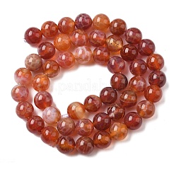 Natural Fire Crackle Agate Beads Strands&nbsp;G-G212-8mm-10