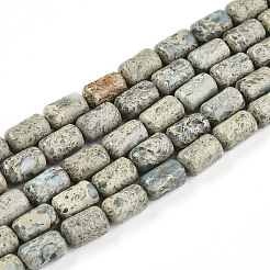 Natural Variscite Beads Strands&nbsp;G-N346-01B-14