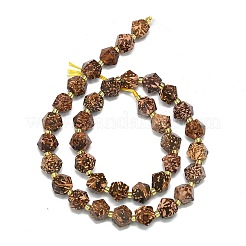 Natural Starburst Jasper Beads Strands&nbsp;G-I376-A60-01