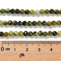 Natural Green Jade Beads Strands&nbsp;G-B107-A08-06