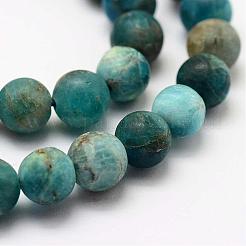 Natural Apatite Beads Strands&nbsp;G-K193-10mm-12