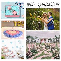 Artificial Flowers Silk Rose Petals&nbsp;DIY-AR0001-20