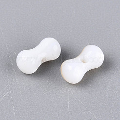 Natural Freshwater Shell Beads Strands&nbsp;SHEL-N038-29B