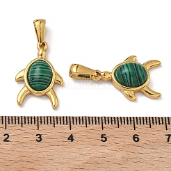 合成マラカイトペンダント  304ステンレススチール製のカメチャーム  ゴールドカラー  22.5x15x5.5mm  穴：8x3.5mm&nbsp;STAS-L309-03G