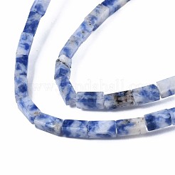 Natural Blue Spot Jasper Beads Strands&nbsp;G-S299-139