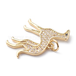 Brass Micro Pave Clear Cubic Zirconia Pendants&nbsp;ZIRC-H110-02G